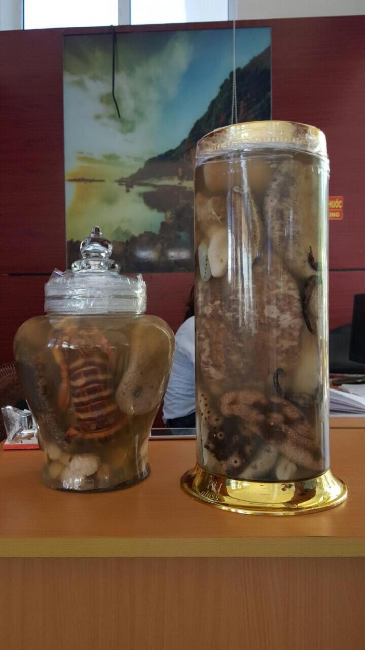 Dai Thanh 1 Motel Cang Sa Ky Quang Ngai Bagian luar foto